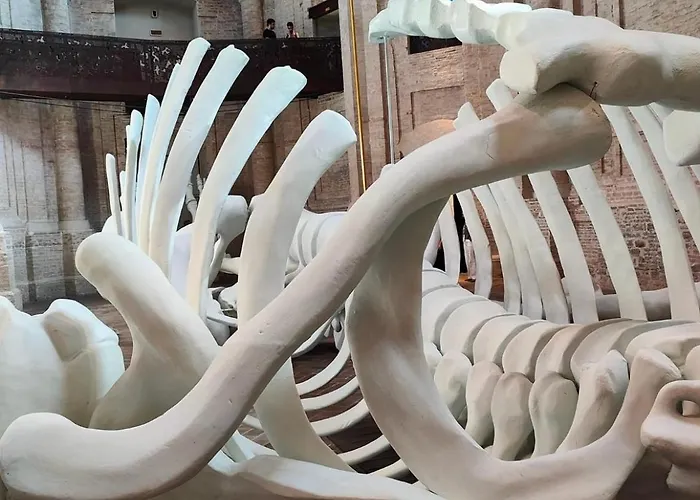 Casa Simonetta Casa de hóspedes 3*